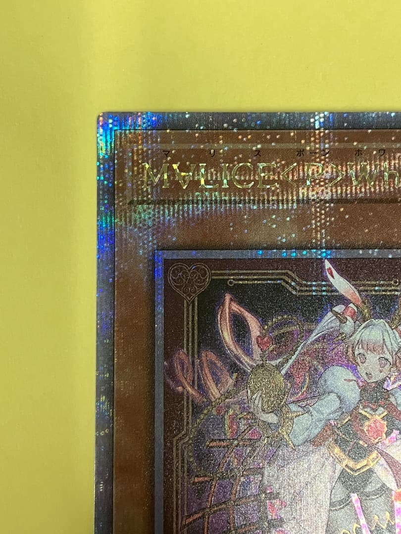 ホワイトラビット　25th