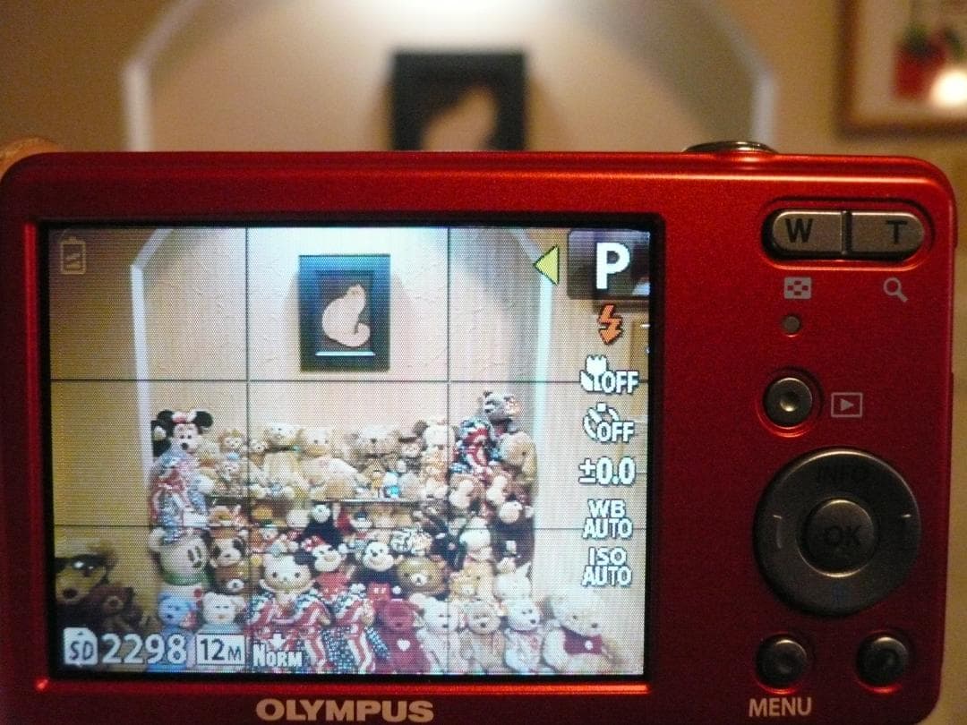 オリンパス VG-110⭐️極美品⭕️実働品❤️小さいのに光学4