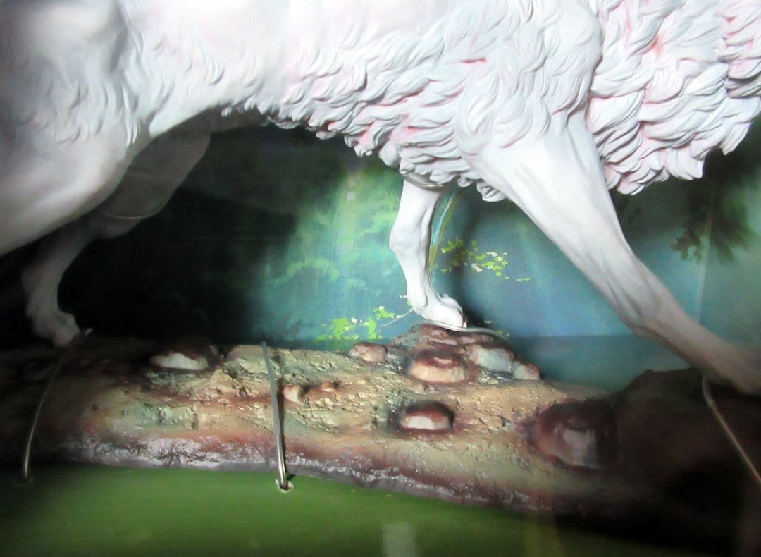 スタジオジブリ「もののけ姫　サンと犬神」フィギュア 未開封品／コミニカ、宮崎駿