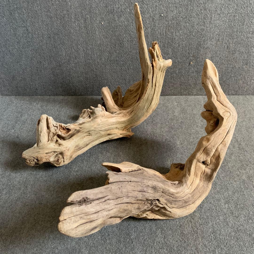 アク抜き済み流木 No.097 2個セット - メルカリ