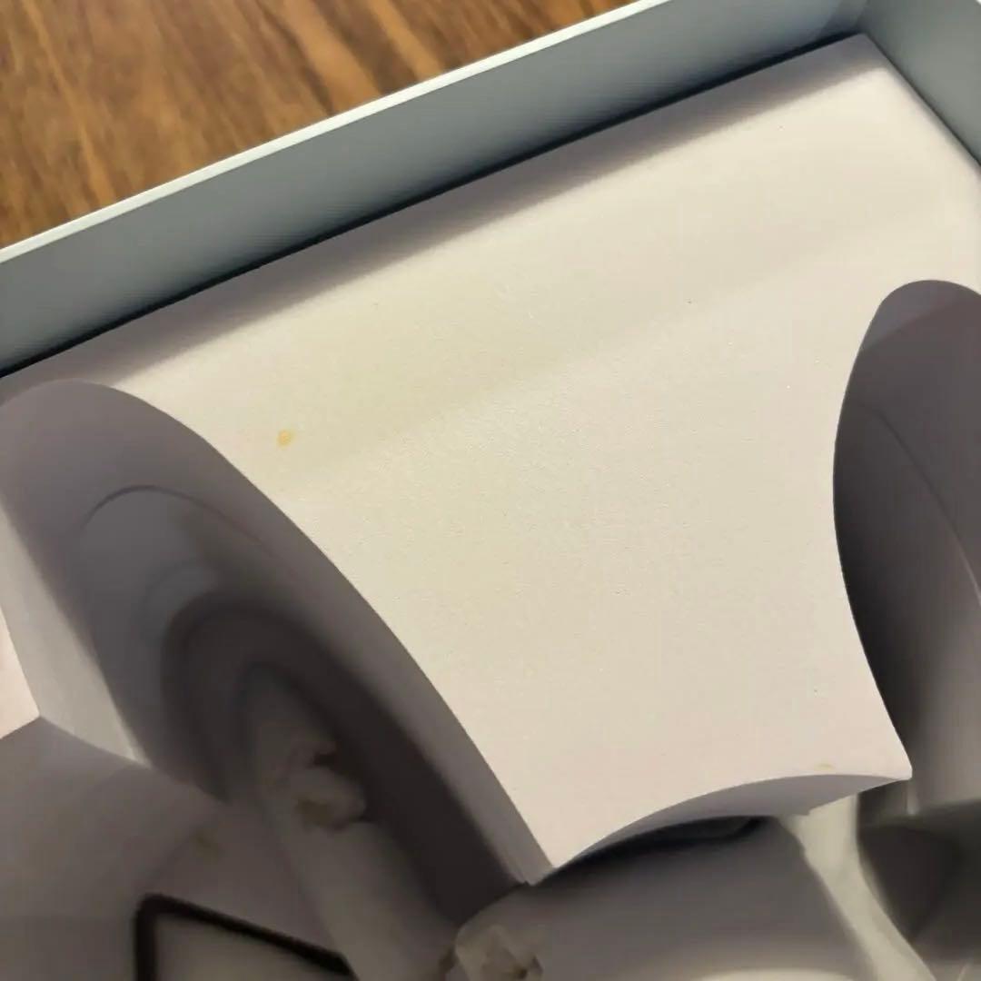 Daniel Arsham Pokémonダニエルアーシャム ピカチュー