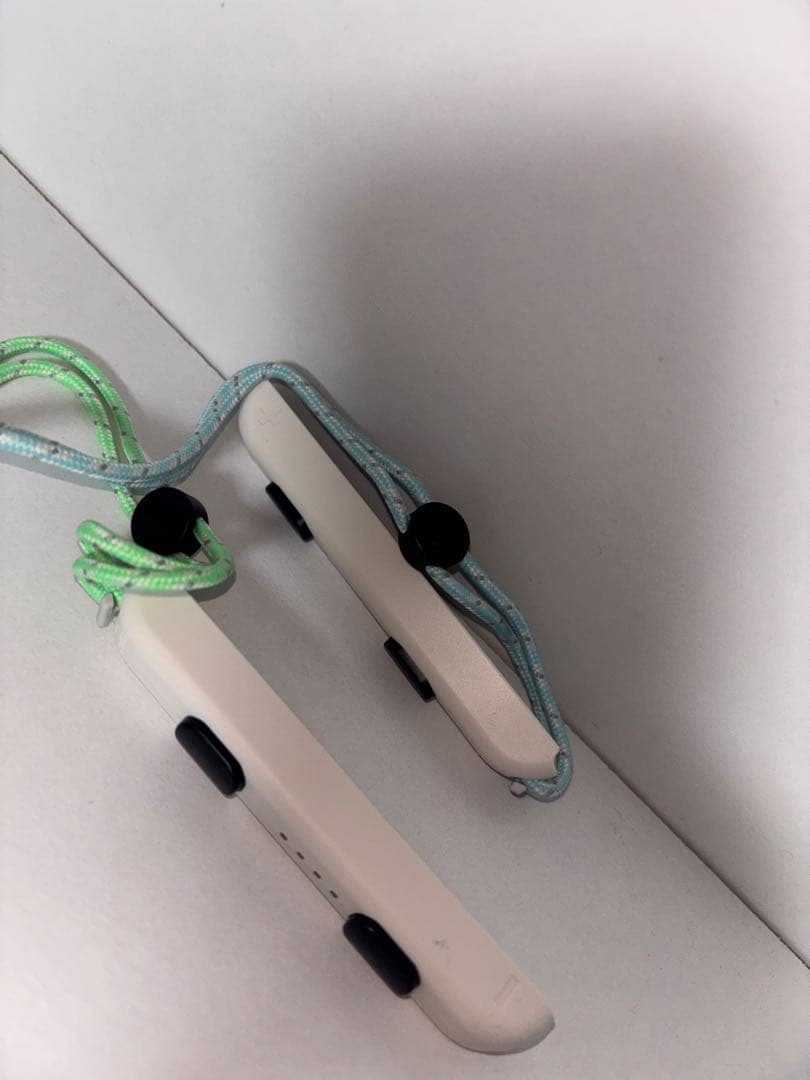 【完品】Nintendo Switch あつまれ どうぶつの森セット任天堂