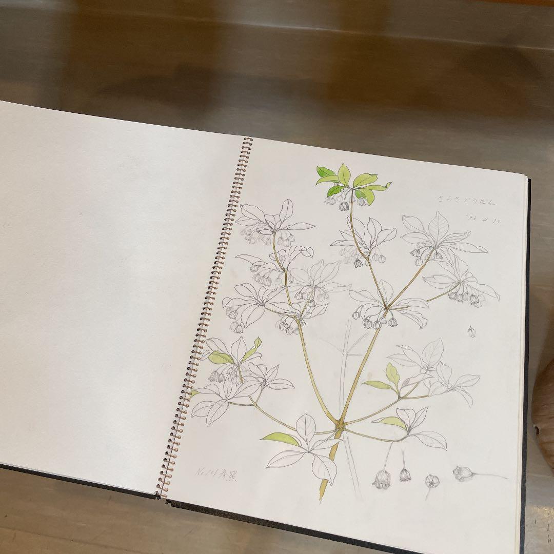 河村大蔵蔵石スケッチブック