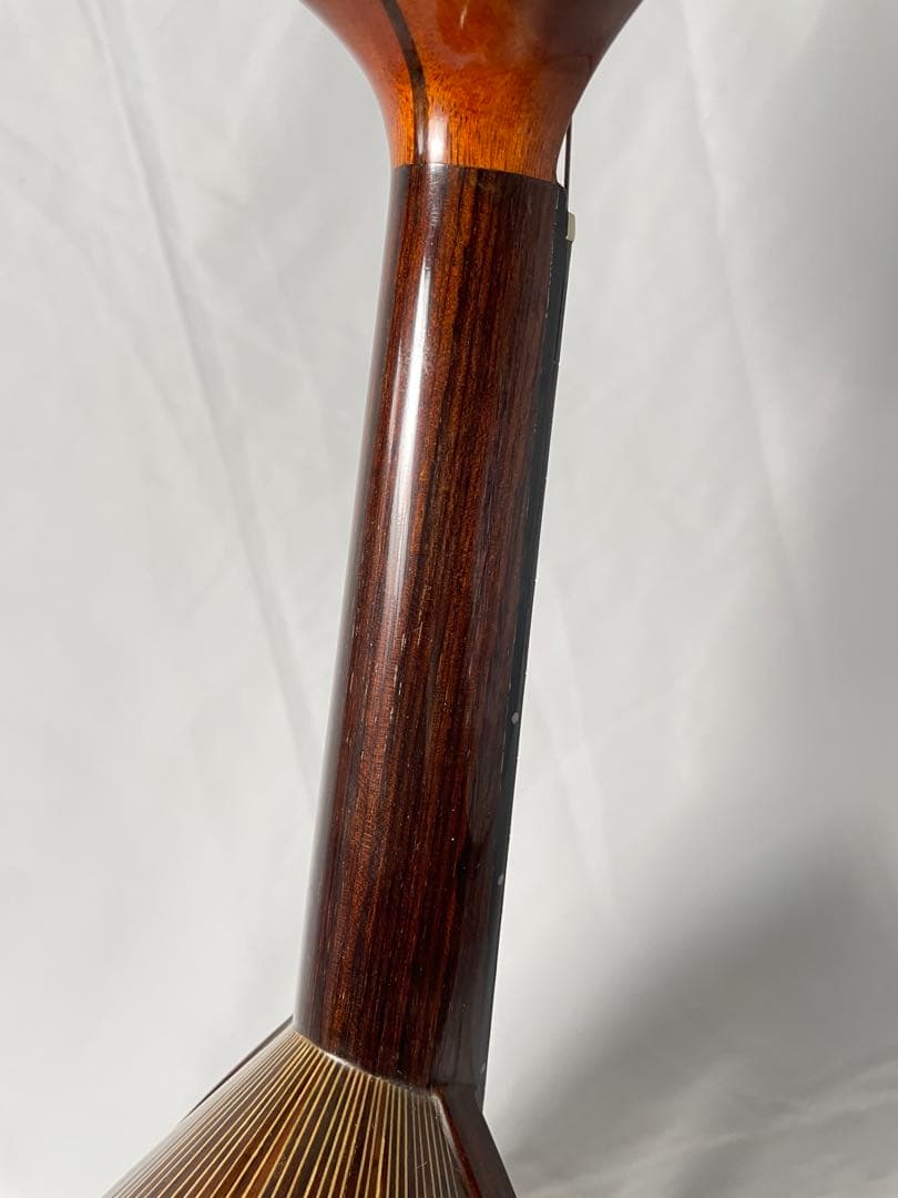 石川マンドリン/No.300 個人オーダー特注品・セミビンテージ - メルカリ