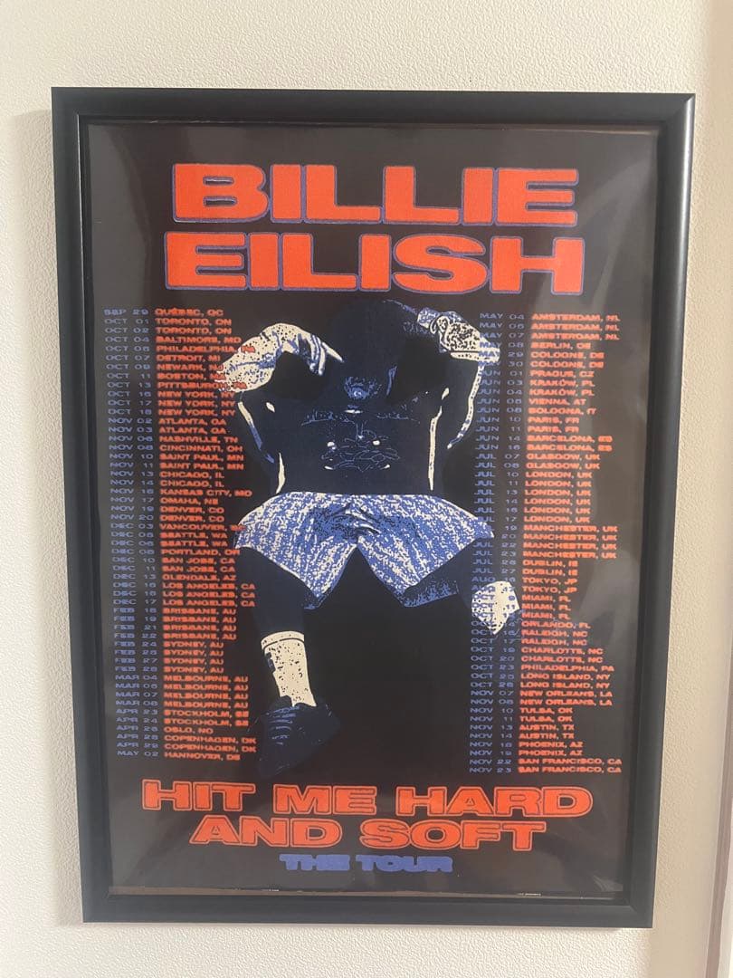 ビリーアイリッシュ A2布ポスター ビリーアイリッシュ A2布ポスター ビリーアイリッシュ A2布ポスター