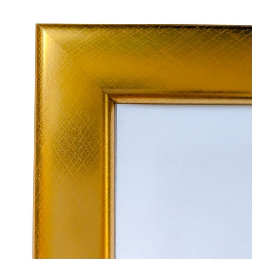 開運！弁財天樣 絵画(トロピカル風) 芸術・芸能・金運アップ！ A4壁掛け額入り