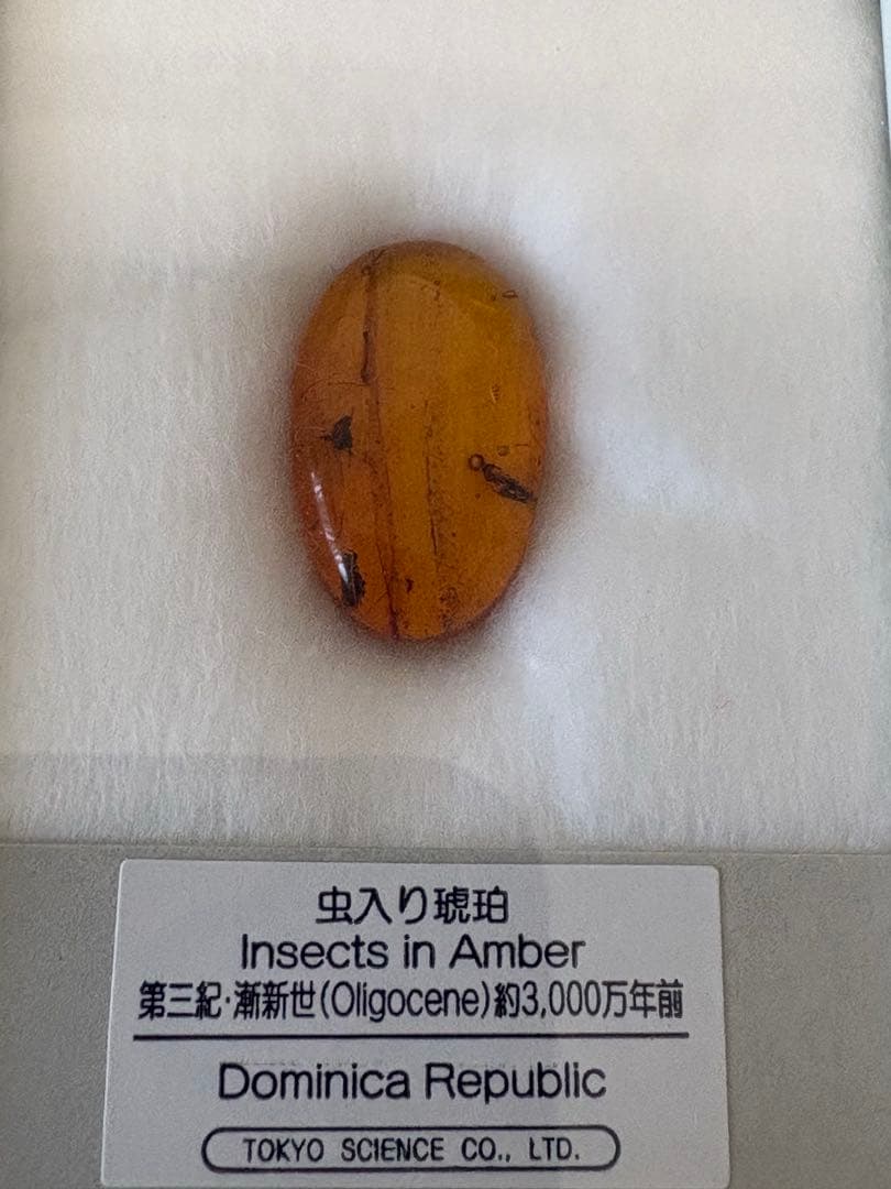 鉱石　虫入り琥珀　玉髄　トルコ石　ルチル　8点セット