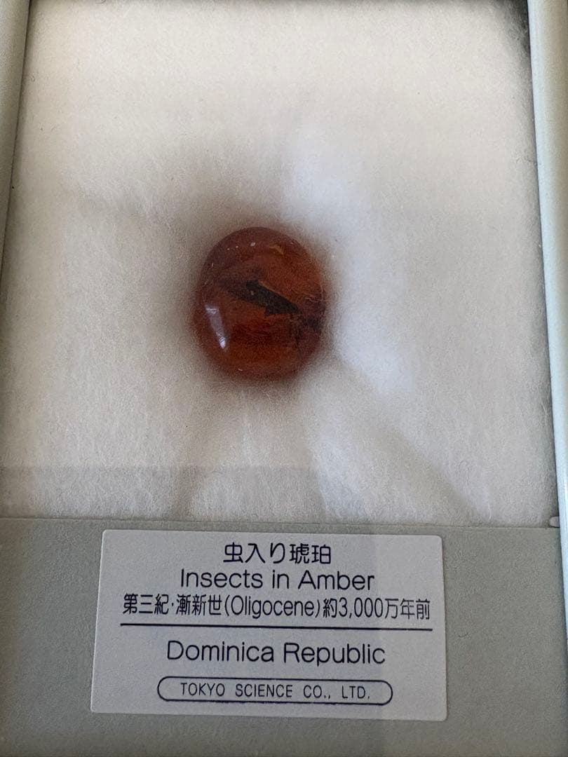 鉱石 虫入り琥珀 玉髄 トルコ石 ルチル 8点セット - メルカリ