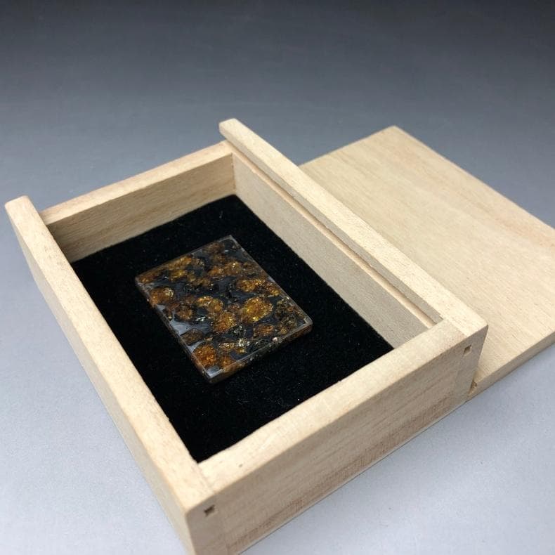 M*0様 パラサイト隕石 隕石 石鉄隕石 セリコ隕石 重さ約16g