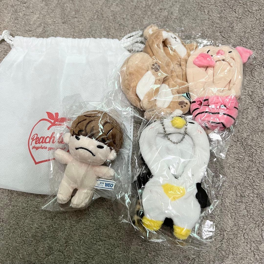 2PM JUNHO ジュノ イップニ ドール 10cm セット - メルカリ