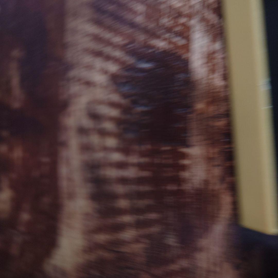 その他 TC-HELICON PERFORM VE