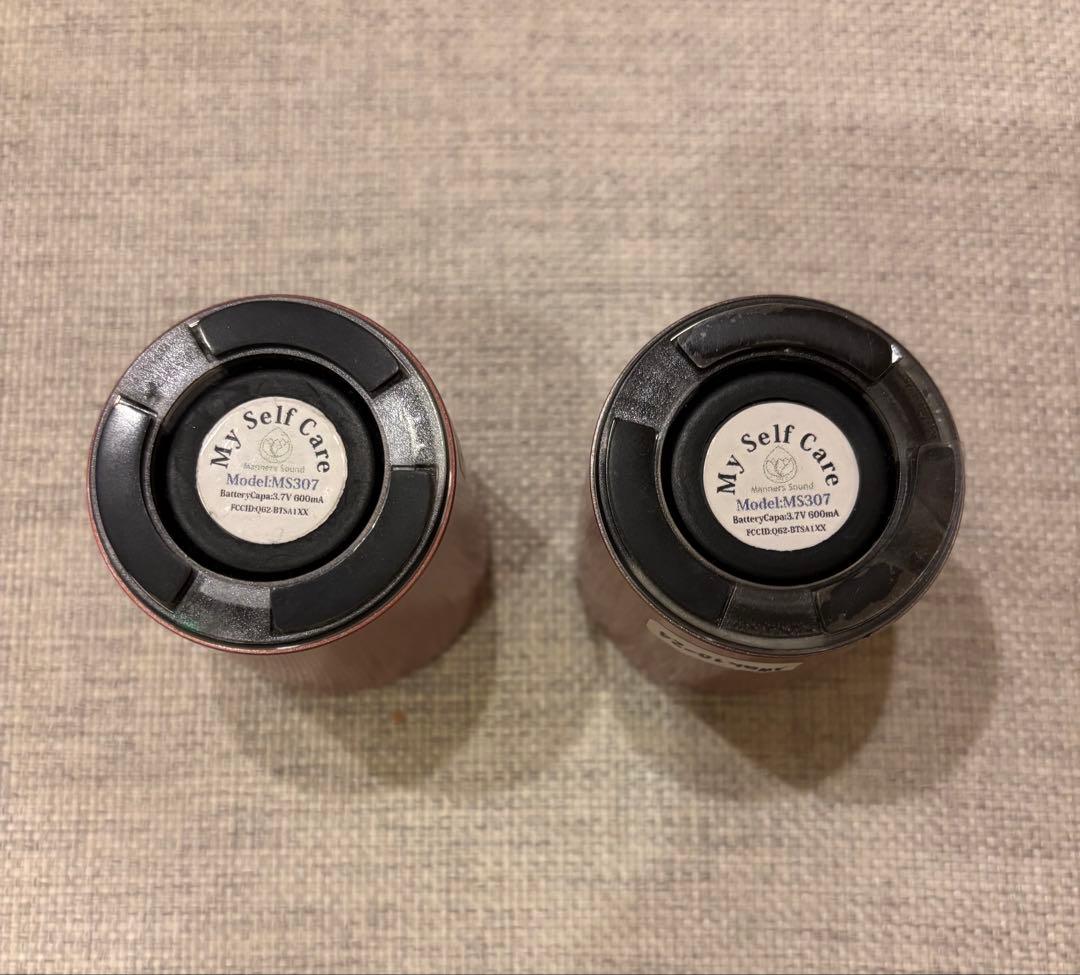 マナーズサウンド スピーカー Perfect10 Awaken10