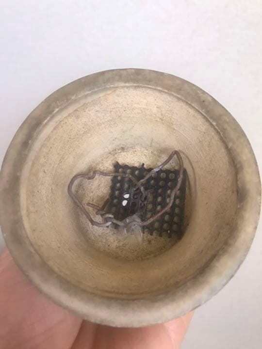 盆栽鉢　⑰時代希少小品盆栽展記念鉢竹模様美豊作、瑞穂作織部竹模様2点山野草植木鉢