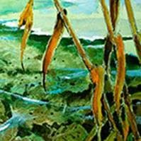 絵画「薄氷の朝の鴨」　水彩画