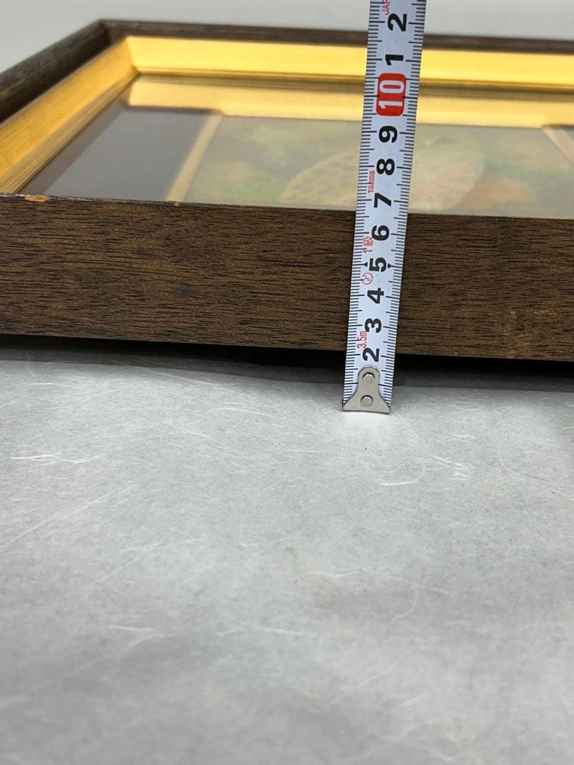 ふくろう 西村雄一 絵画 油彩画 額 美術品 フクロウ ふくろうの置物