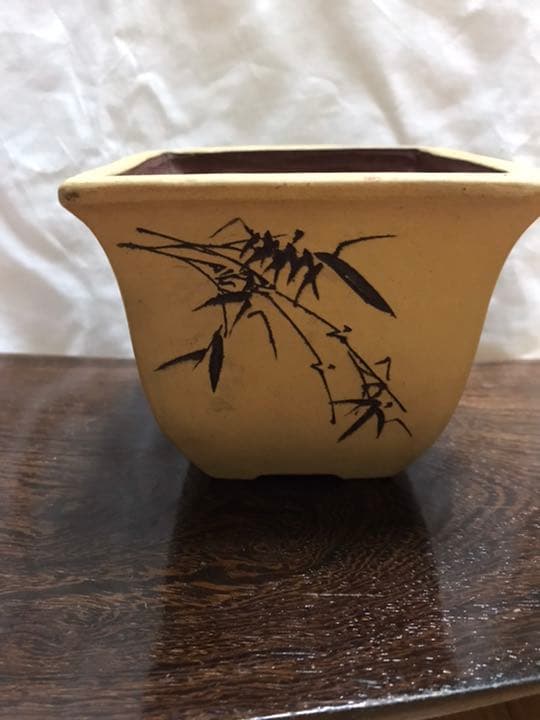 盆栽鉢 時代小品盆栽鉢白正方鉢梅図竹図中国