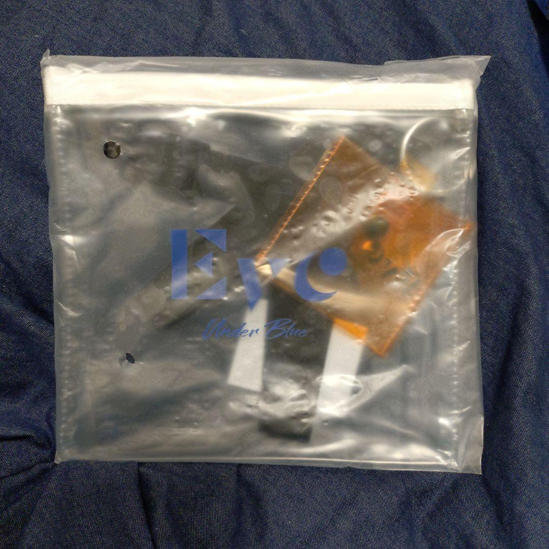 最終値下】Eve Under Blueアイコンぬい、サコッシュ&ポーチ他 Eve