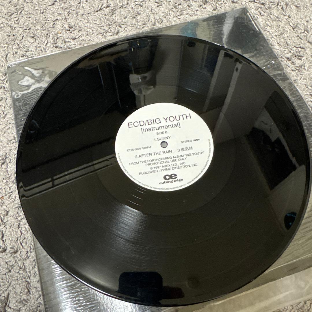 ECD/BIG YOUTH [instrumental] アナログ