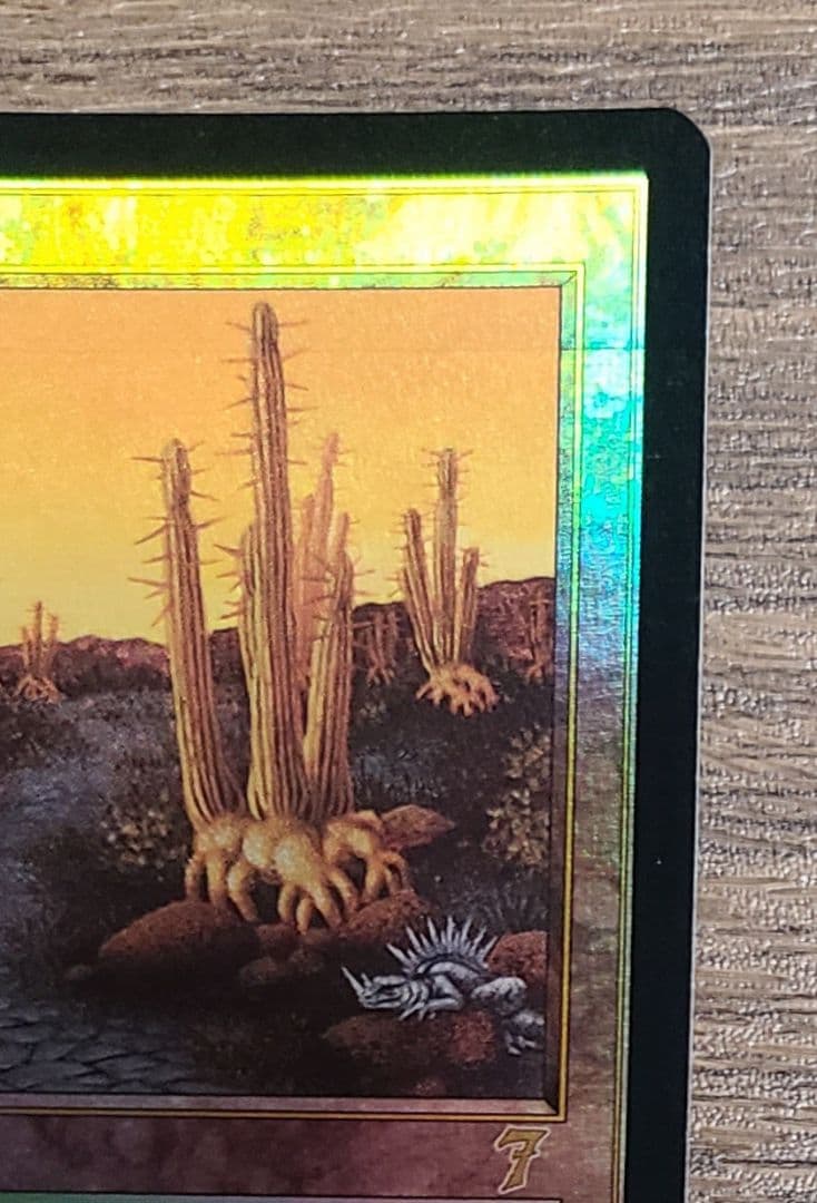 美品】MTG 低木林地 7版 日本語 ホイル Foil マジックザギャザリング