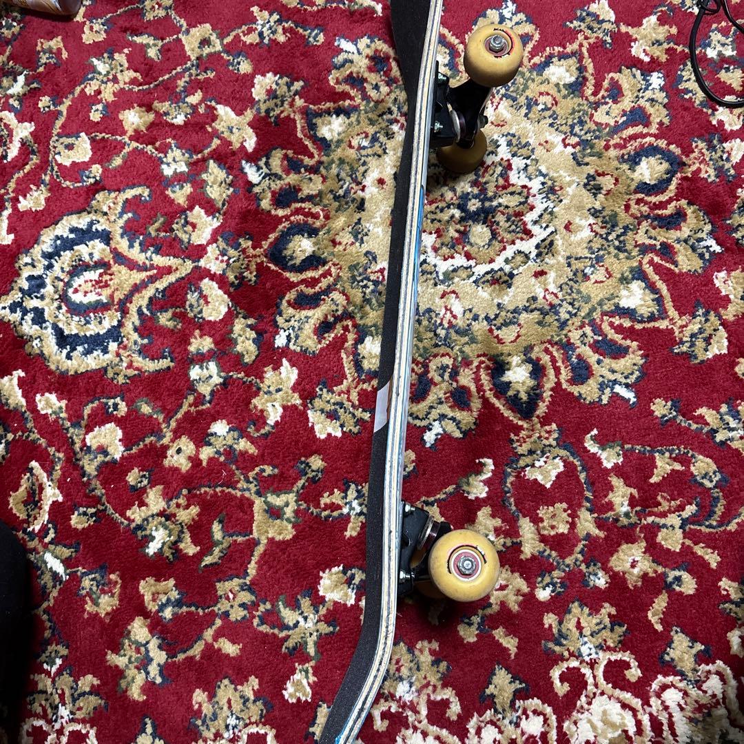 スケートボード SANTA CRUZ