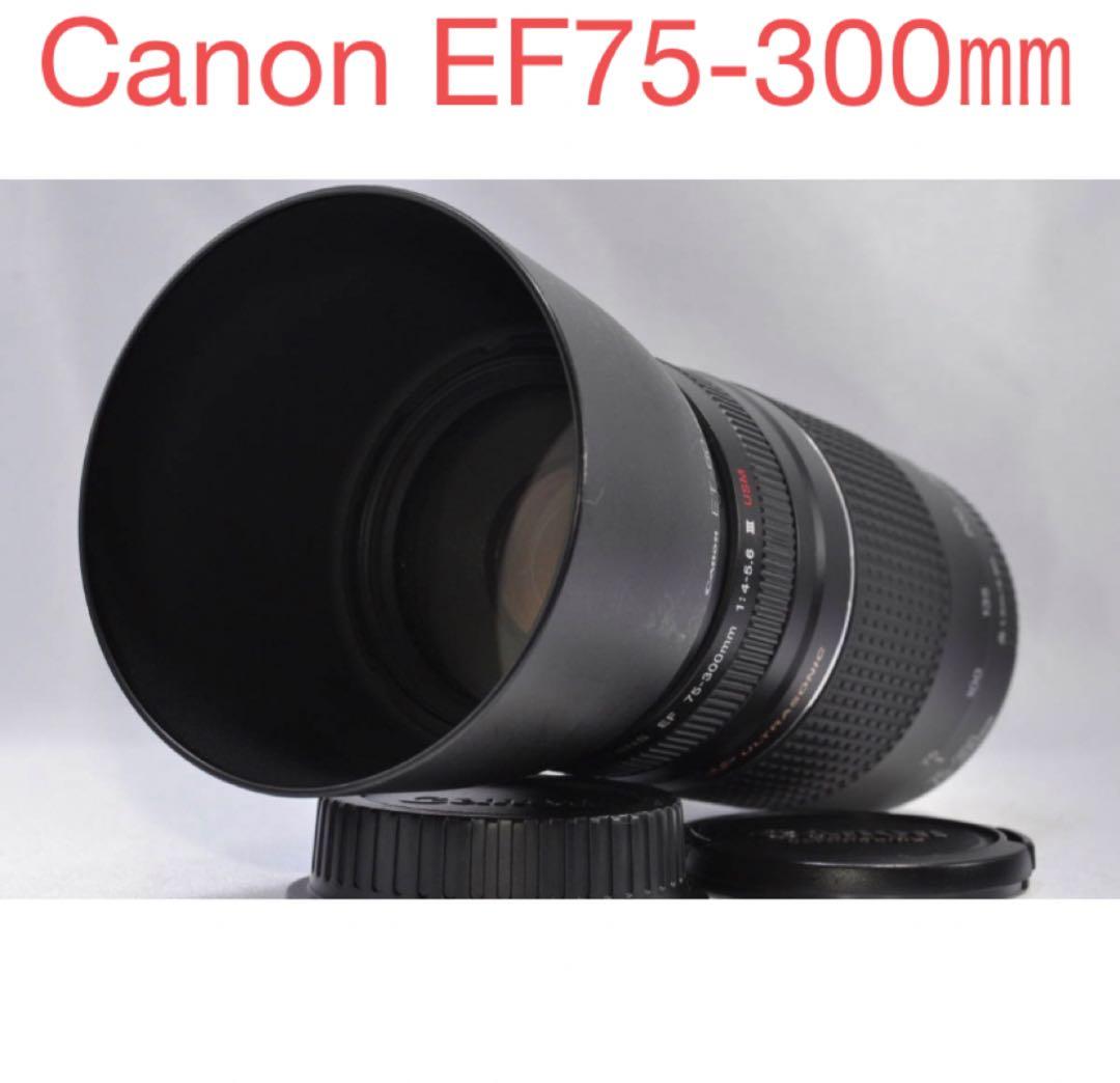付属品付/キャノン超望遠レンズ Canon EF75-300㎜II