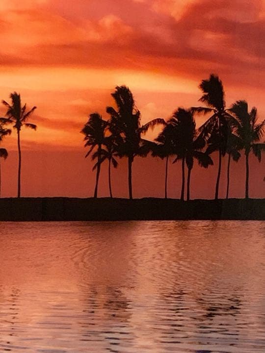 ピーター・リック  (夕方ザ・ビッグアイランドハワイ限定版63/950)