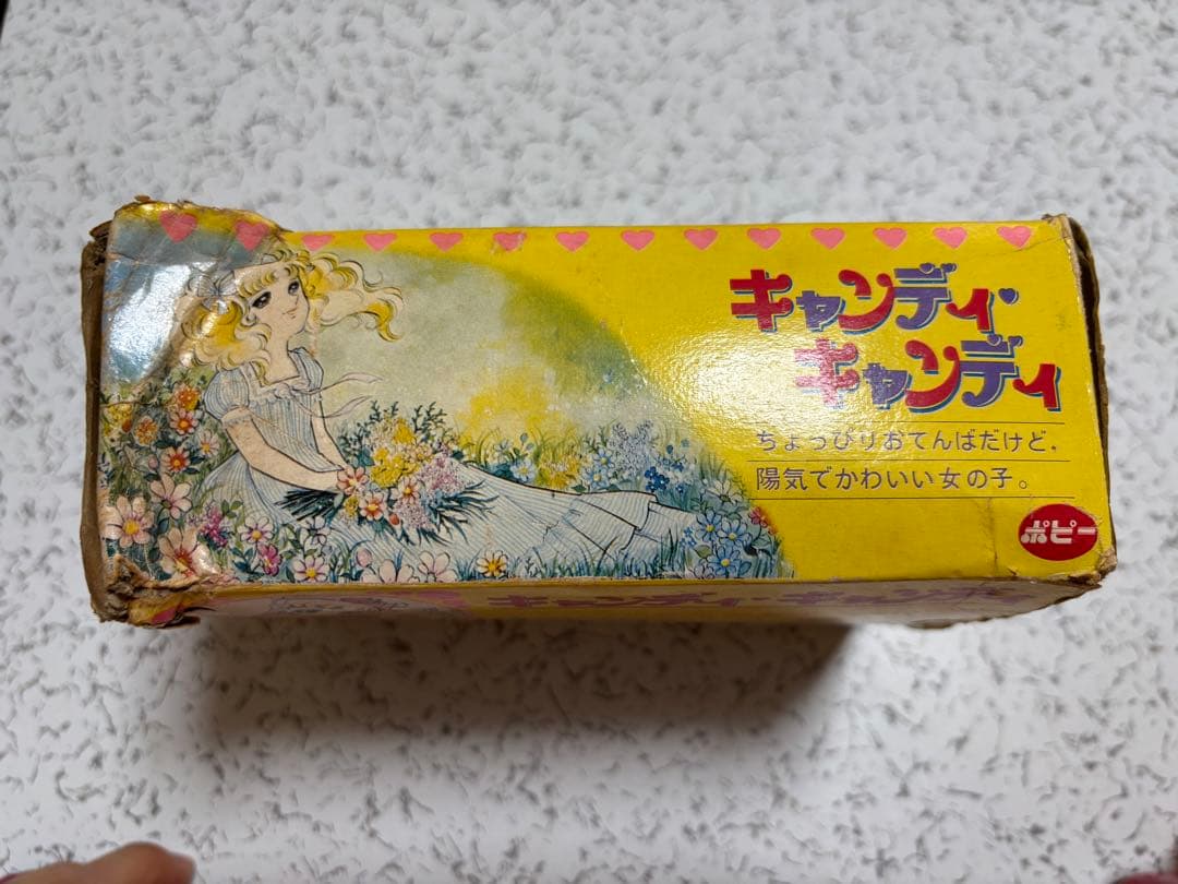 キャンディ・キャンディ　レディーバック