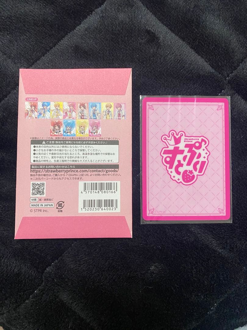 日光陽明門秋景図】朝見香城 970 日光東照宮 共箱掛け軸肉筆