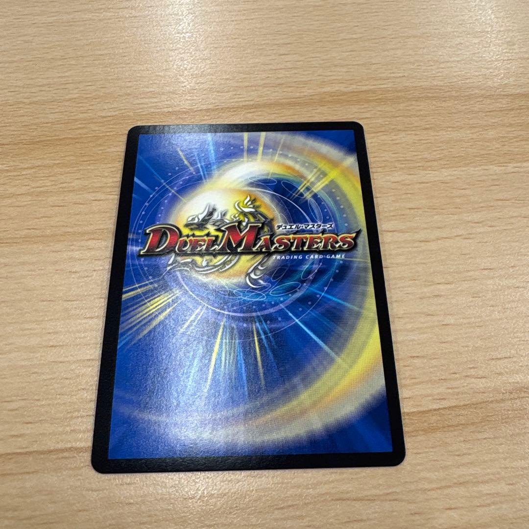 水正第九院 シェコガイル B