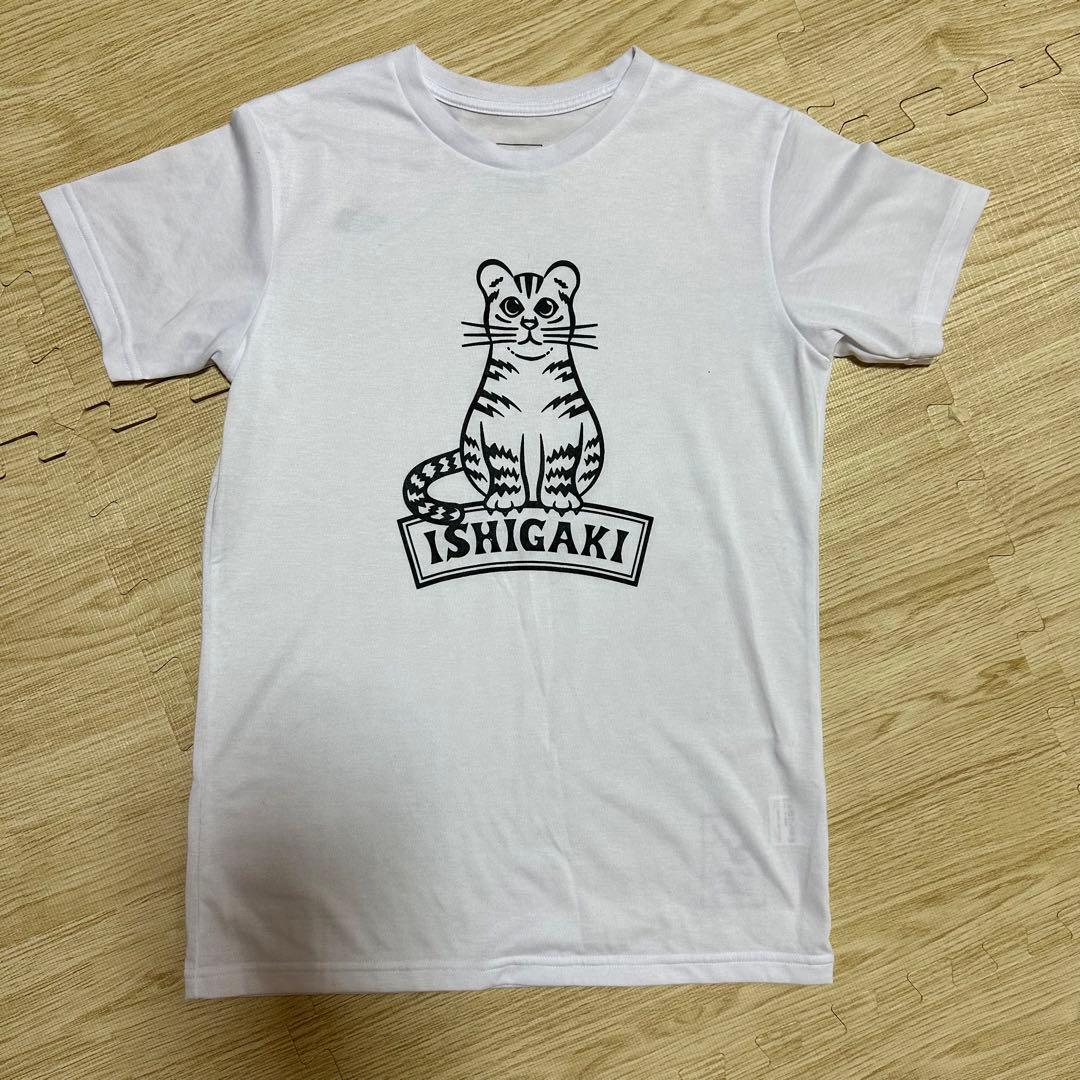 The North Face ノースフェイス 石垣島限定Tシャツ - メルカリ