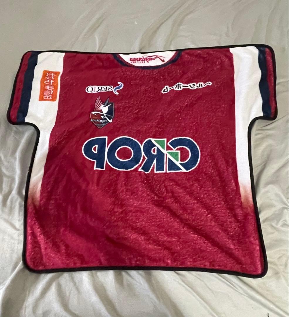 ファジアーノ岡山ユニフォームM 江坂任