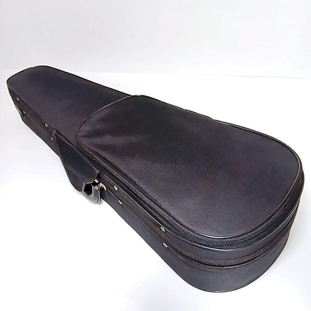 美品 カルロジョルダーノ VS-1 バイオリン セット 弓 ケース