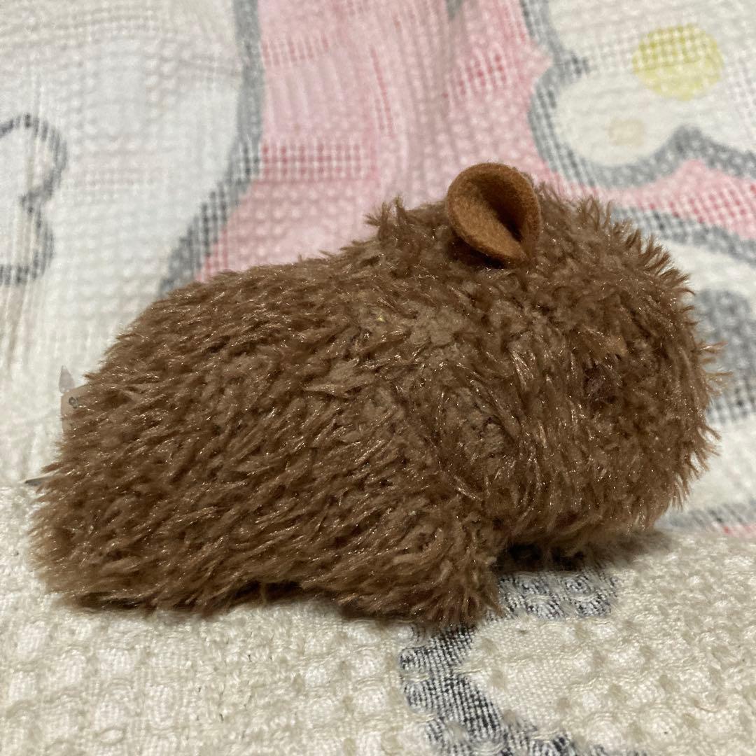 モンスイユ　MAY BLUE カピバラ　クープ　ベージュ　中古品