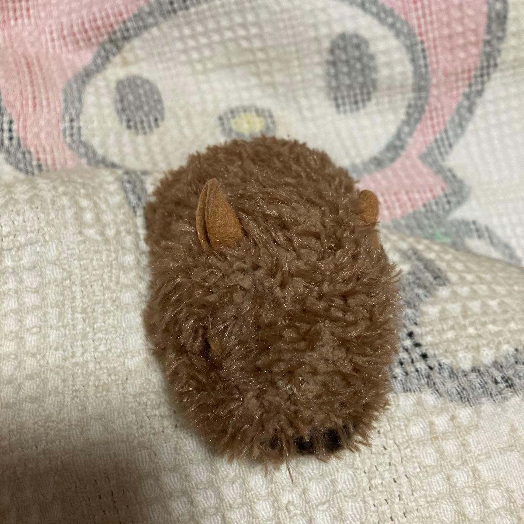 モンスイユ　MAY BLUE カピバラ　クープ　ベージュ　中古品