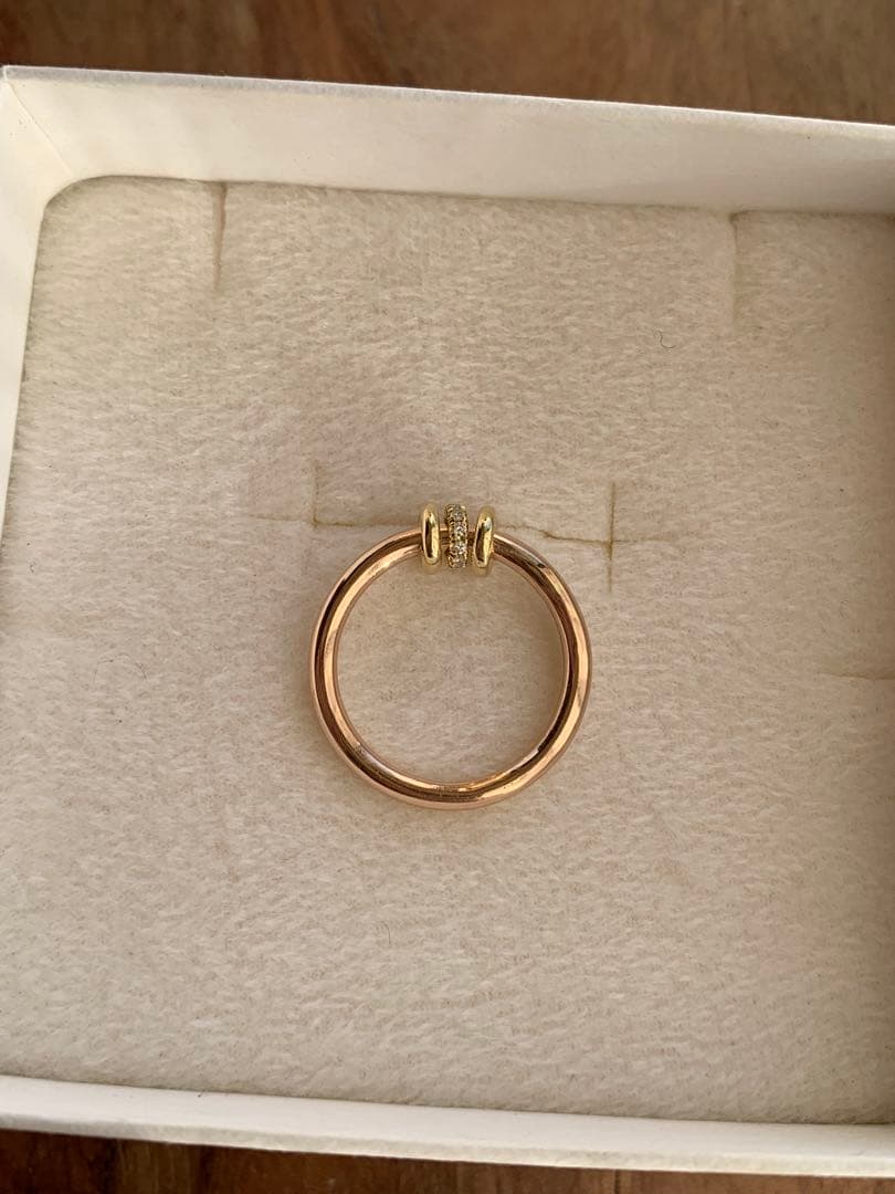 Spinelli Kilcollin スピネリキルコリン K18 シリウスリング