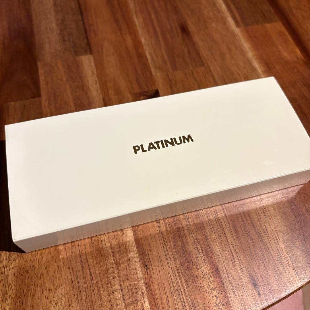 廃盤【未使用】アカブライヤー センチュリー3776 プラチナ万年筆 F