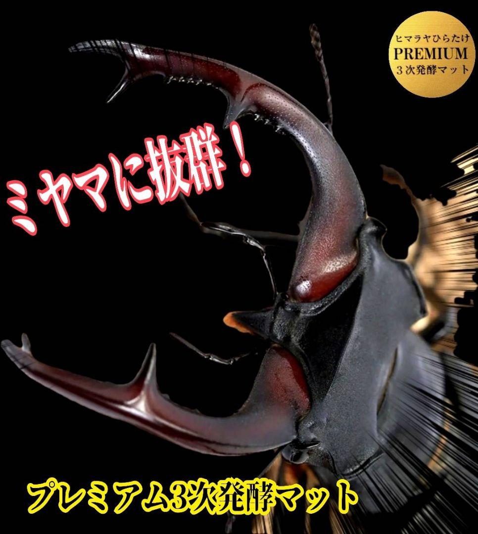 アンタエウスに抜群！プレミアム3次発酵マット【40リットル