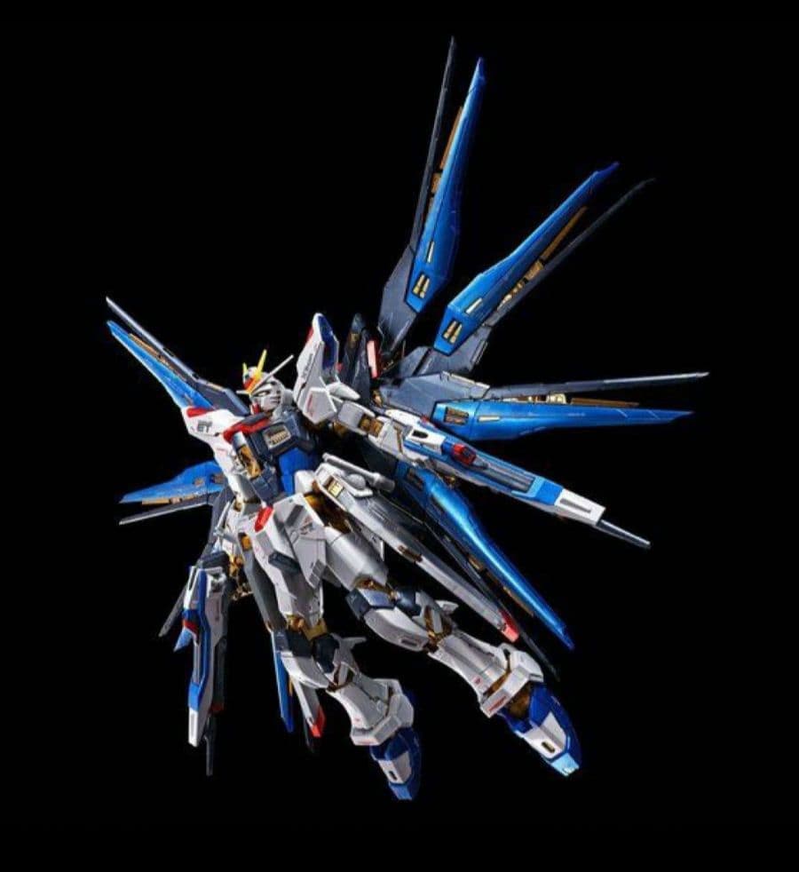 RGストライクフリーダムガンダムチタニウムフィニッシュ 天空の翼