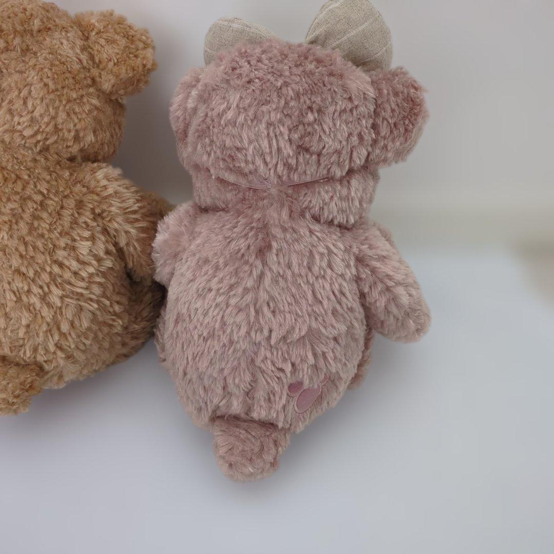 新品タグ付き　ダッフィーとシェリーメイののぬいぐるみ2体セット　ディズニー