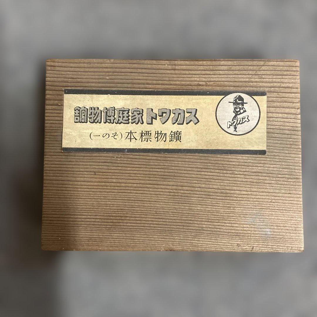 トワカス 木製鉱石標本箱 12個収納