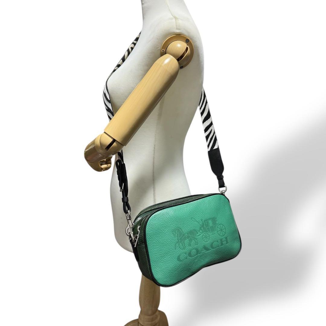 未使用級✨️コーチ カメラバッグ ショルダーバッグ 2層 レザー ゼブラ グリーン