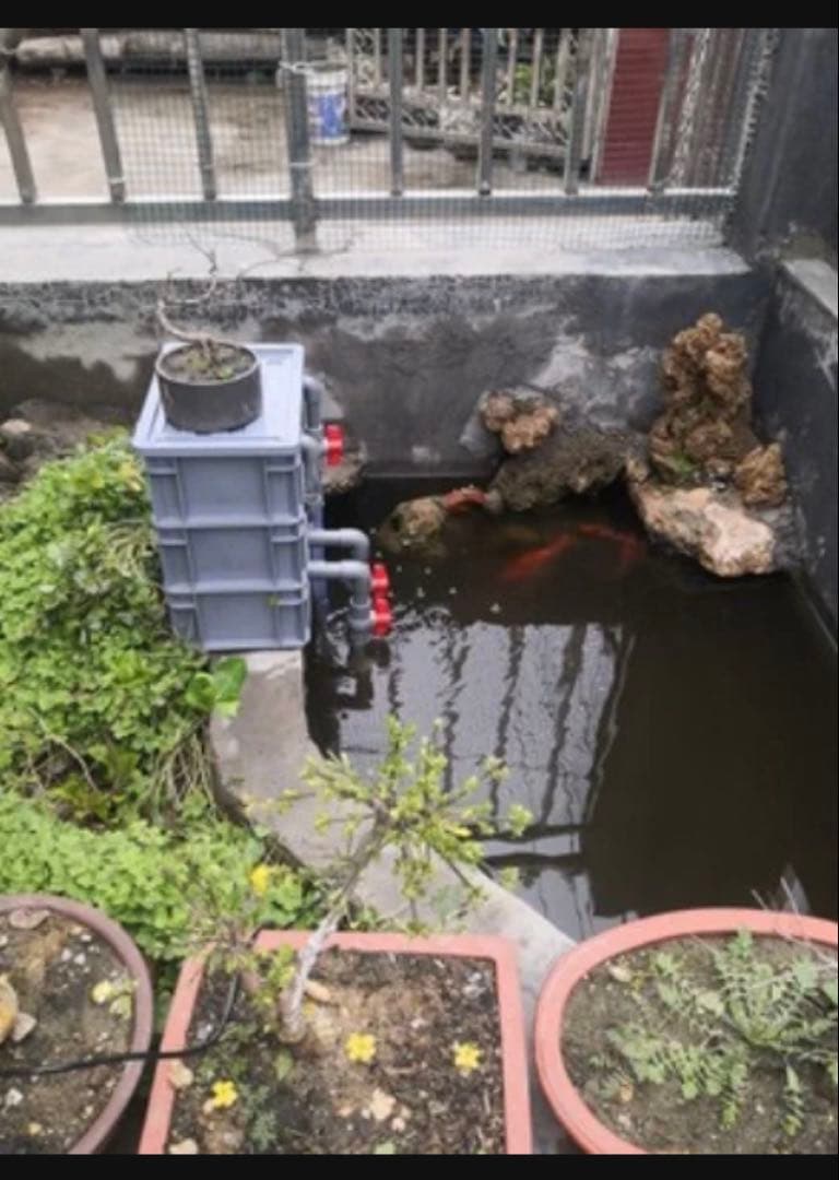 ろ材満タン付き 到着すぐ使える最強濾過装置、万能濾過フィルター即時