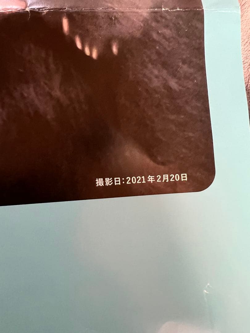 楓浜 アドベンチャーワールド 誕生記念ポスター72×51cm 白浜市配布