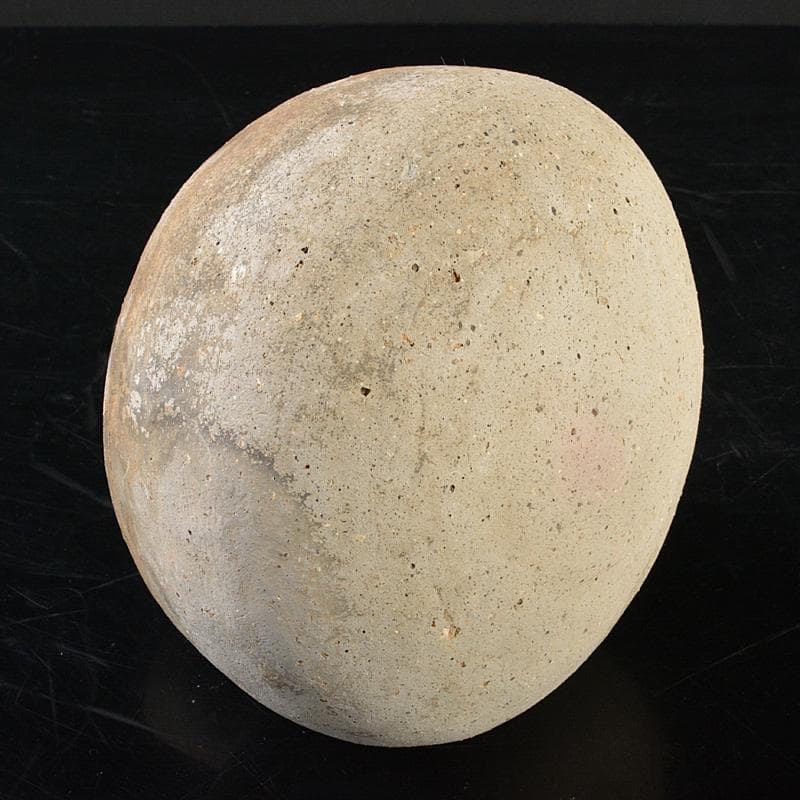 古陶器 須恵器 平瓶 V R6308F