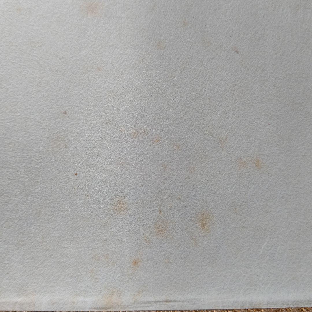 掛軸 【初日出 日々星好日】 有道佐一