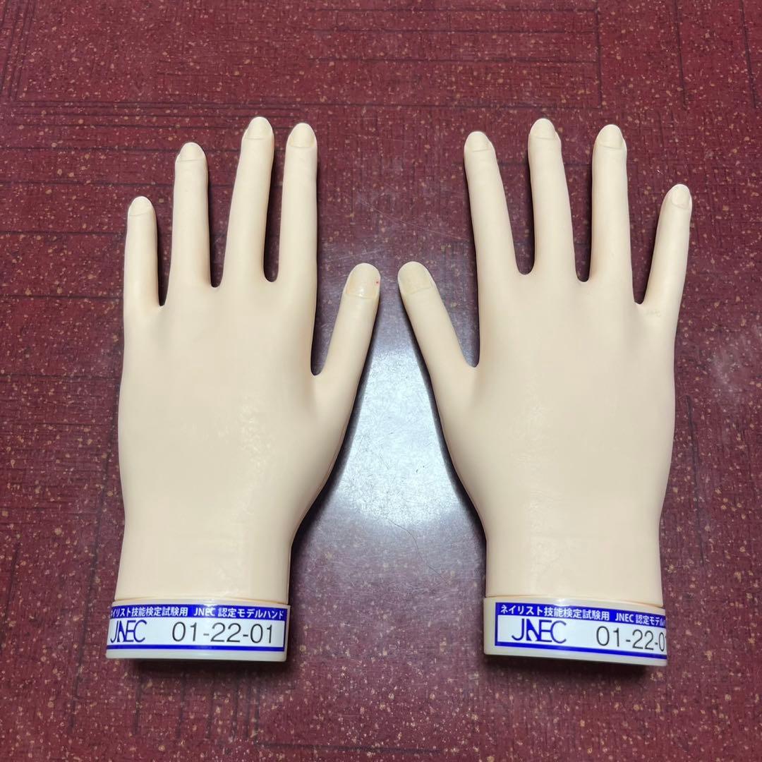 ネイリスト技能検定試験用 モデルハンド JNEC 認定モデルハンド - メルカリ