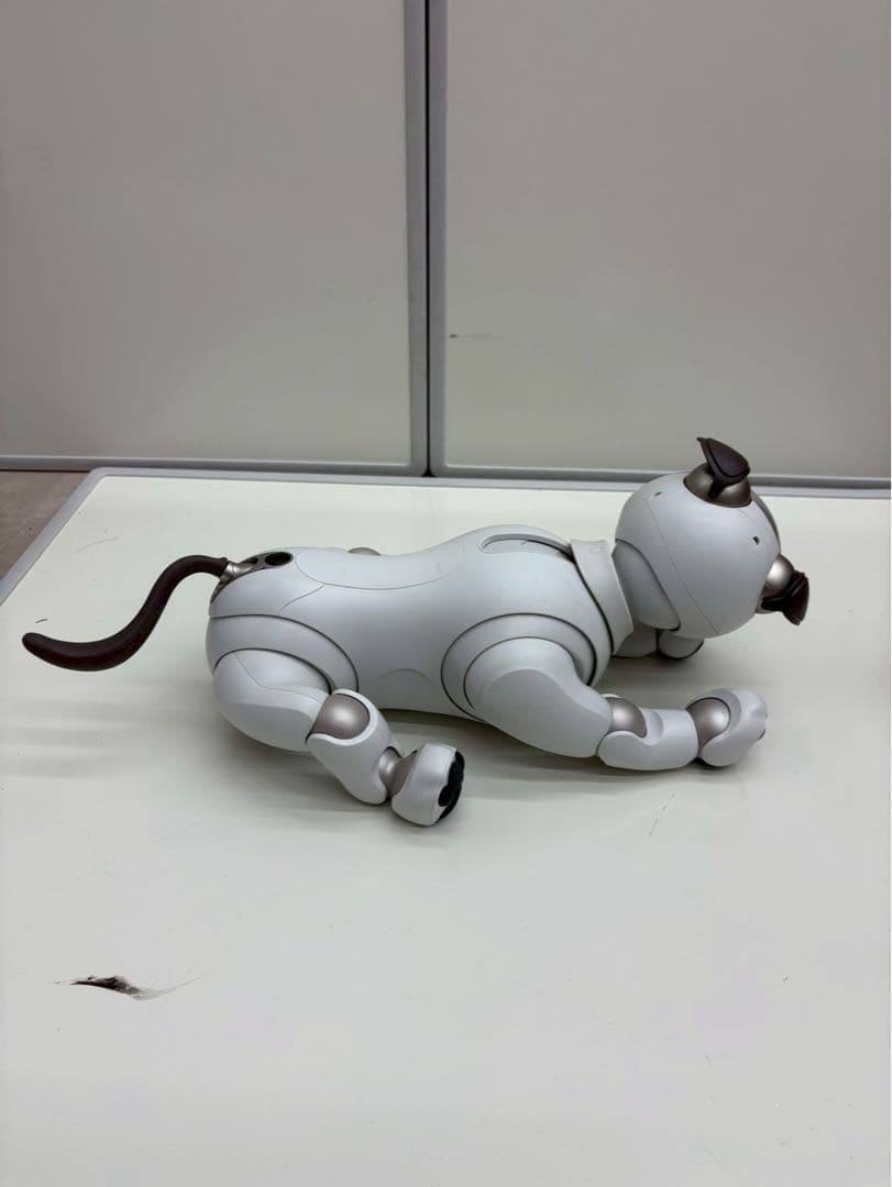 SONY AIBO ERS-1000 ロボット犬 充電ステーション付き　to01