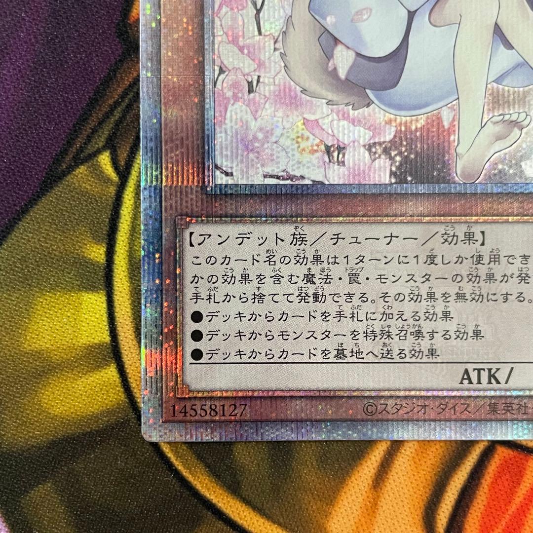 遊戯王　灰流うらら 絵違い 25thシークレットレア クオシク