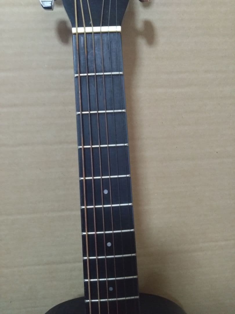 アコースティックミニギター LumberL100MNA ケース他付属品５点