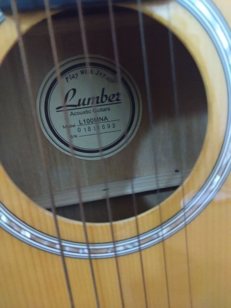 アコースティックミニギター LumberL100MNA ケース他付属品５点